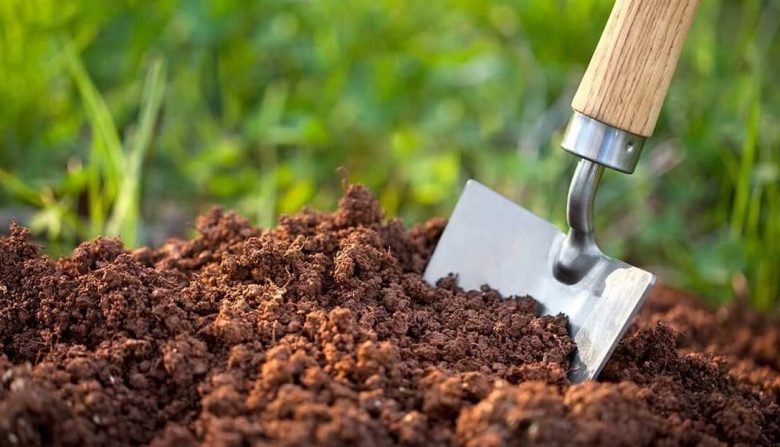 The tomato fertilizer