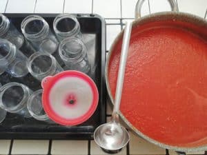 Jars and puree