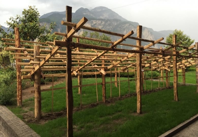 Double Trentino pergola