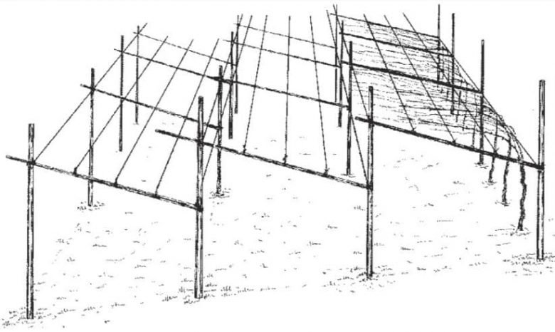 Simple Trentino pergola
