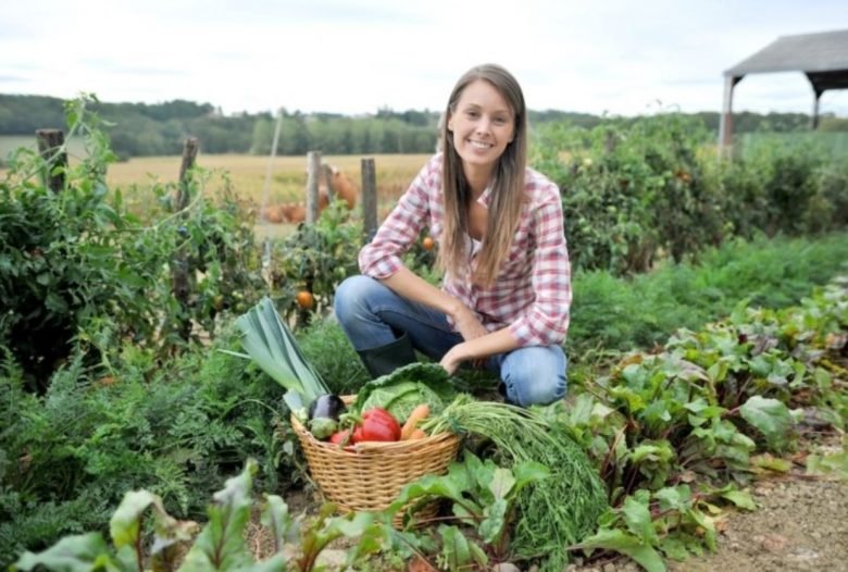 Free agricultural land
