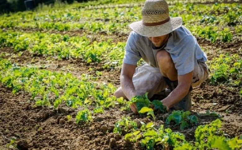 Land to start agricultural activity