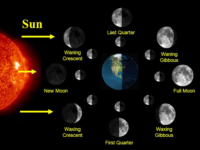 Phases of the Moon