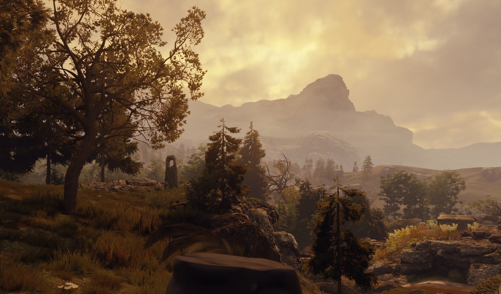 GreedFall Review | Gammick