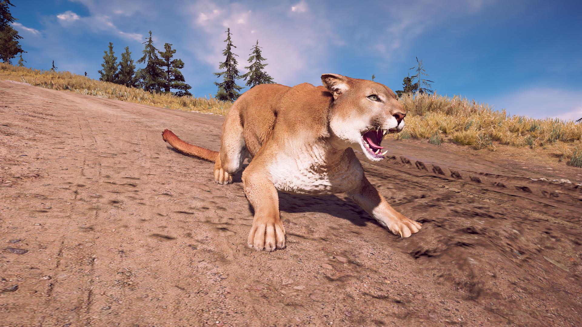 Far Cry 5 Review |  Gammick