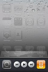 IPod controls