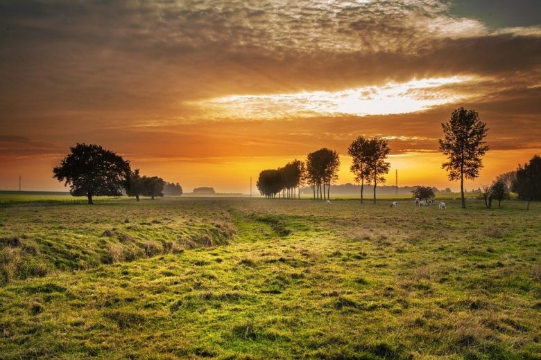 Solar calendar for the month of May