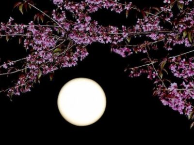 The lunar calendar for April 2022