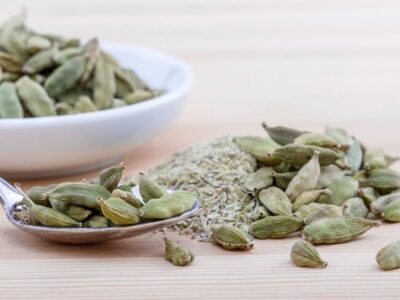 How to grow cardamom