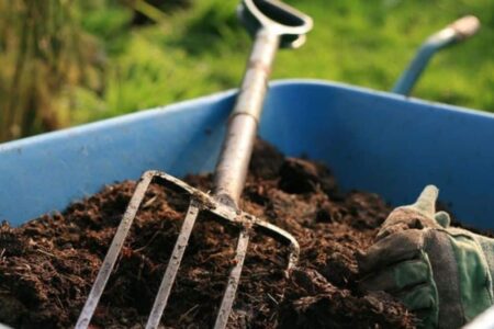 The best organic fertilizers for the organic garden