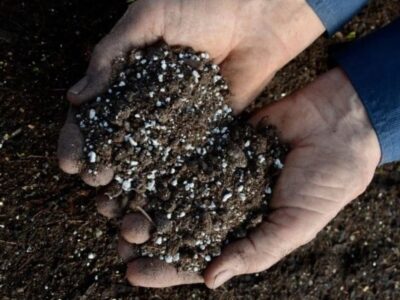 Perlite, the advantages as a substrate for growing in pots
