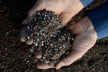 Perlite, the advantages as a substrate for growing in pots
