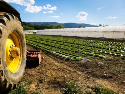 How to choose a land to cultivate to start an agricultural business