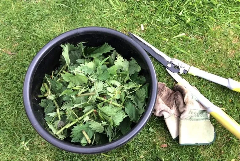 natural macerates