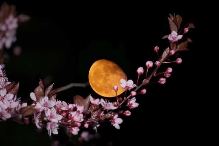 April moon