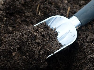 The agricultural land.  The different types, characteristics and peculiarities