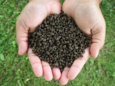 Use manure to fertilize the garden