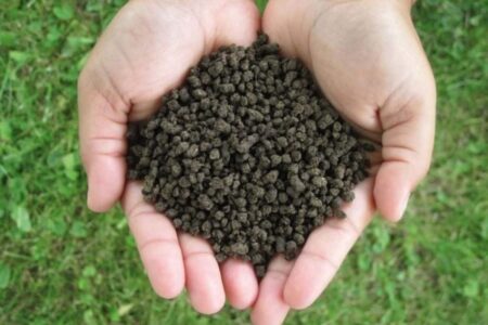 Use manure to fertilize the garden