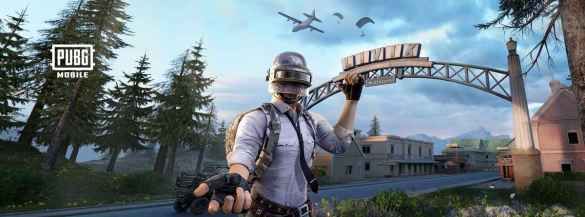 Pubg survival games
