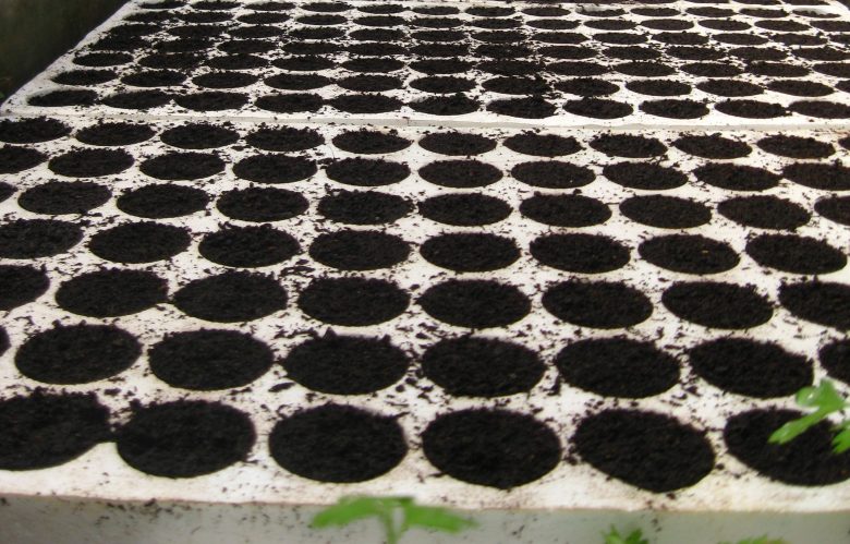Nursery with polystyrene trays