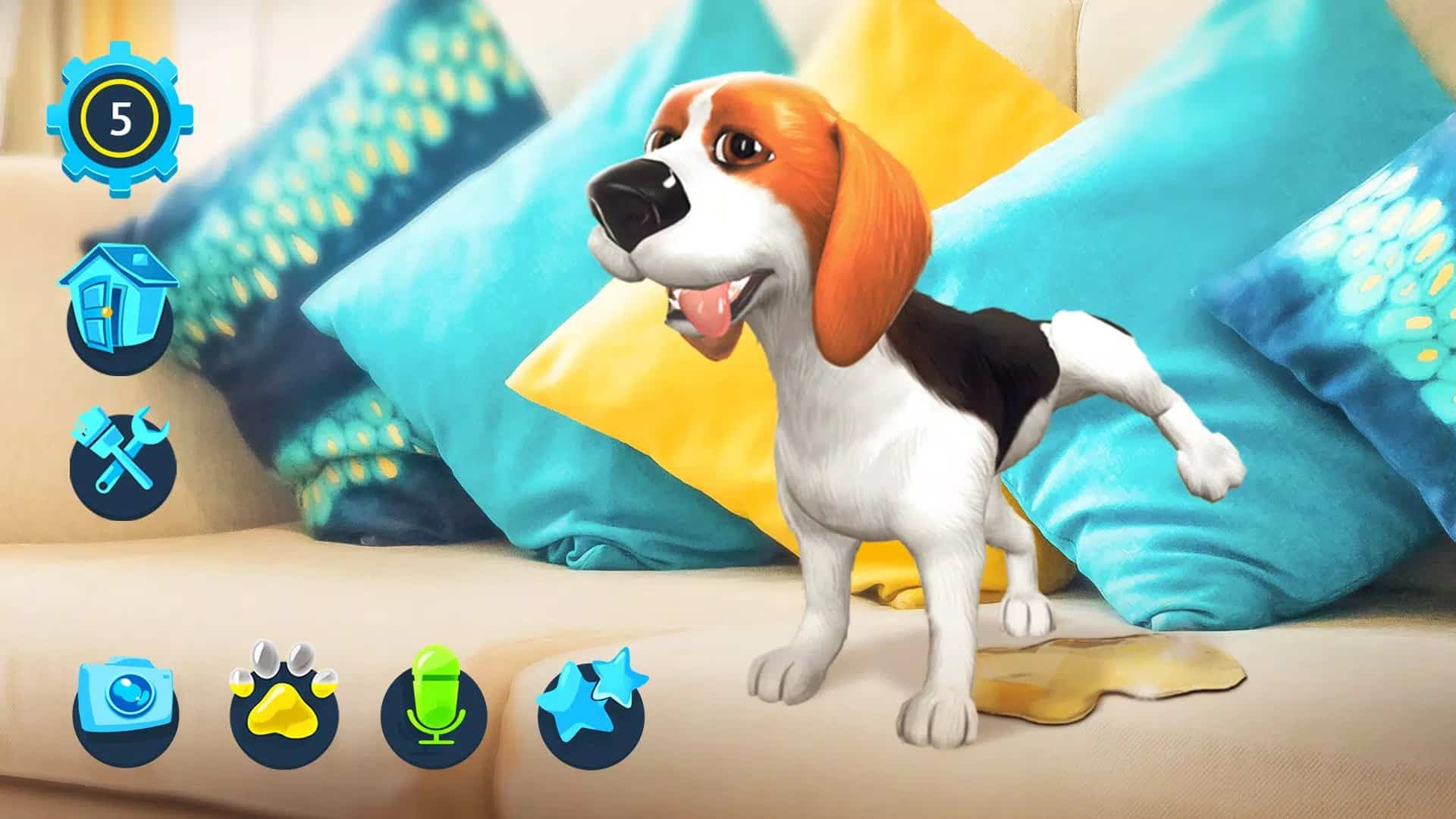 Take care of your dog in Tamadog