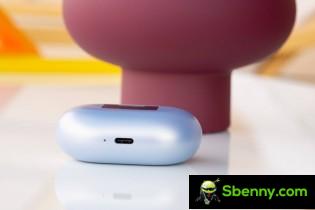 Huawei Freebuds Pro 2 case