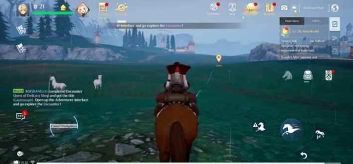 Noah's heart finds tame horses