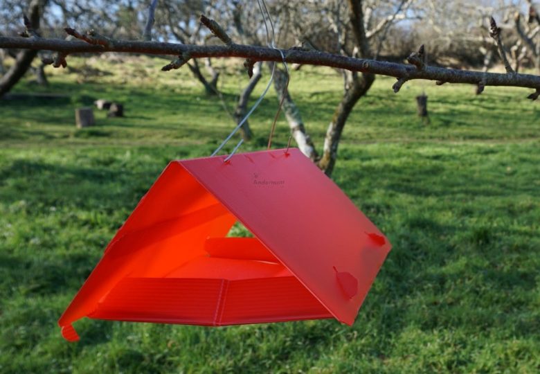 Pheromone trap