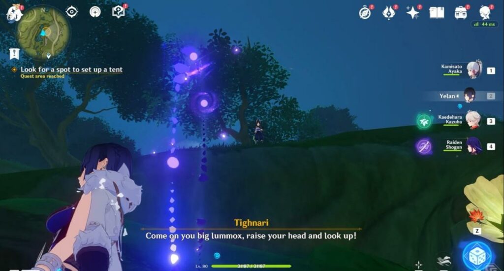 Tighnari Story Research Tent Spot