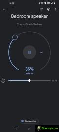 Google Home settings