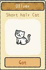 Adorable-Casa-Oliver