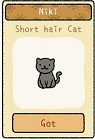 Adorable-Casa-Niki