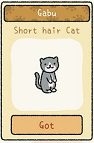 Adorable-Casa-Gabu