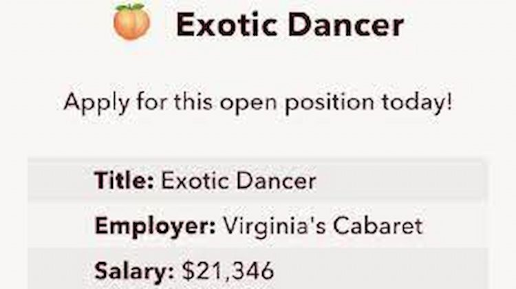 BitLife simulator extractor