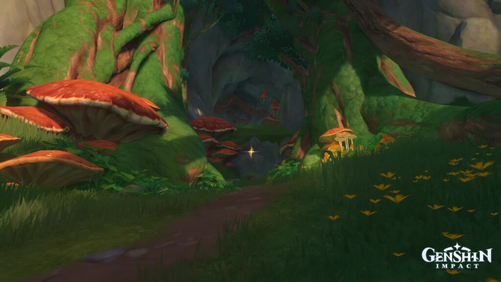 The opening of the guide cave in search of The Lost Child