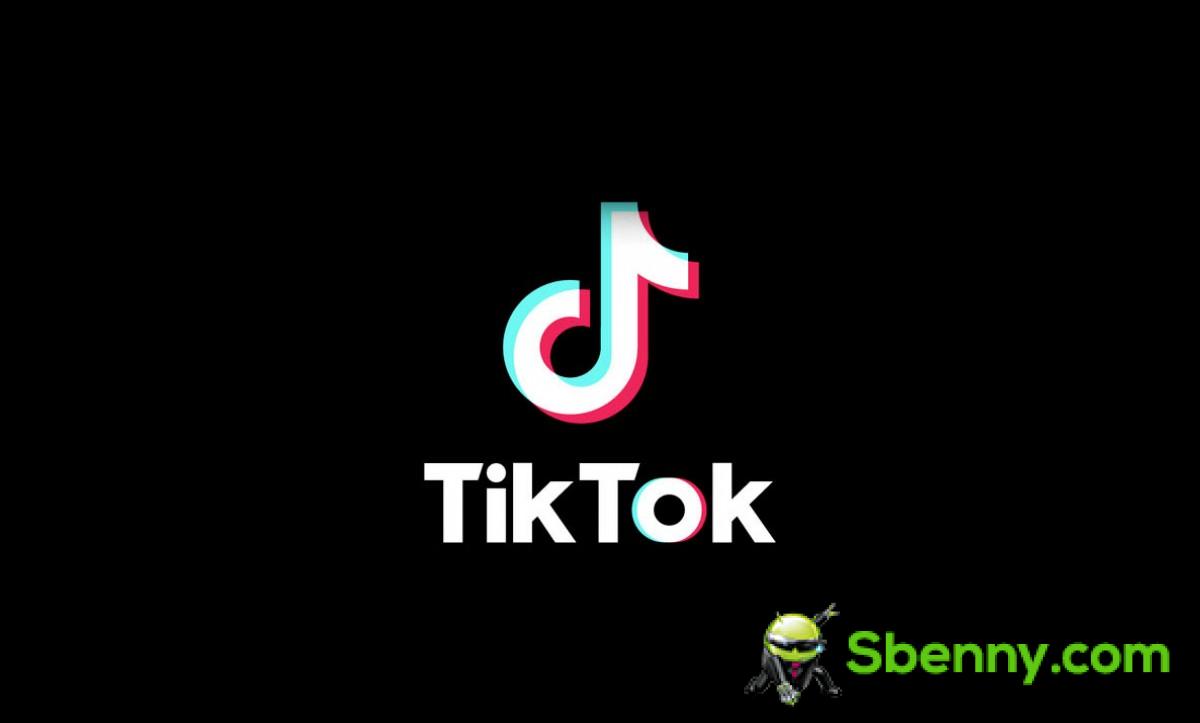 Oracle is reportedly looking into TikTok's handling of user data and content moderation