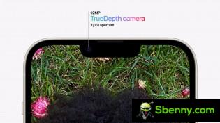 All four have AF on selfie cams