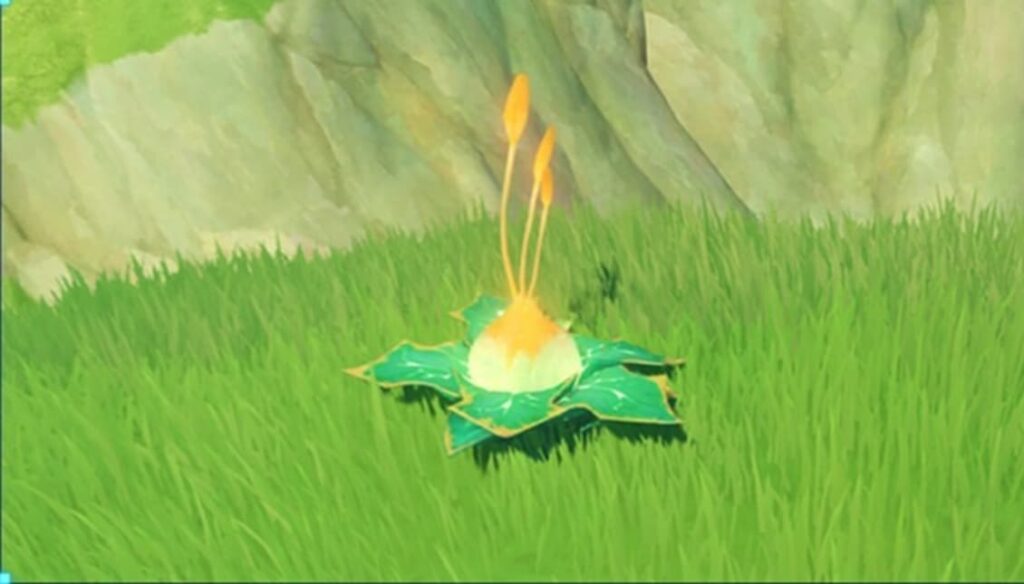 Genshin Impact sumeru puzzles and mechanics