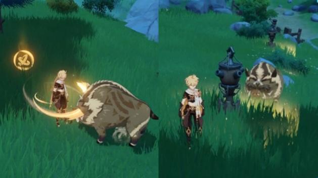Fall Crisis Event