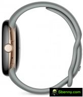 The Google Pixel watch