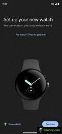 Google Pixel Watch app interface