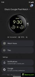 Google Pixel Watch app interface