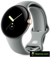 The Google Pixel watch