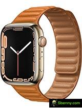 Apple Watch Series 7