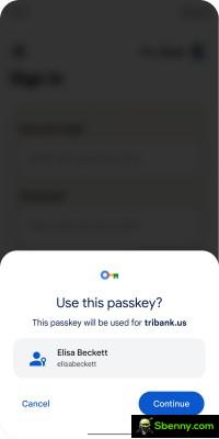 Using a passkey to log in has the same aspect as using a stored password