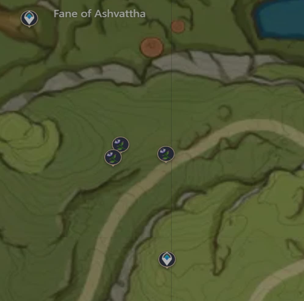Genshin Impact Padisarah