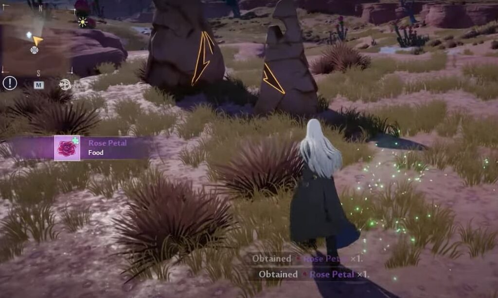 Location of the Tower of the Rose Leaf Fantasy