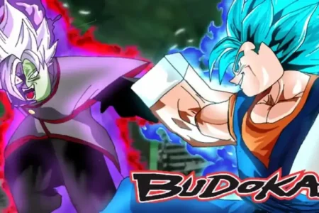 Budokai Codes 2022 (November List)