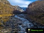 Live X90 Pro + camera samples