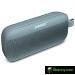 Bose Sound Link Flex